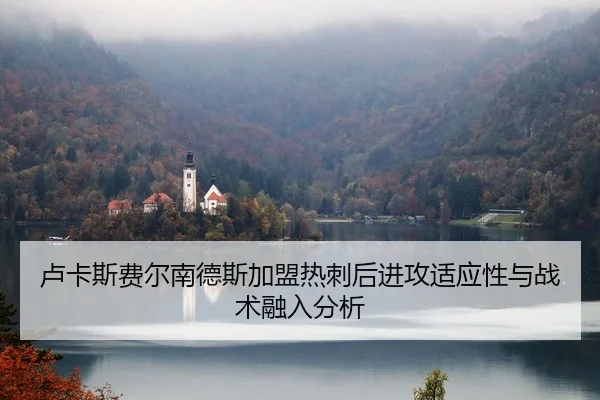 卢卡斯费尔南德斯加盟热刺后进攻适应性与战术融入分析 - CBA